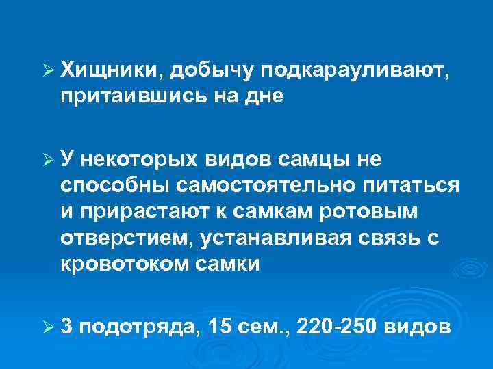 Ø Хищники, добычу подкарауливают, притаившись на дне Ø У некоторых видов самцы не способны