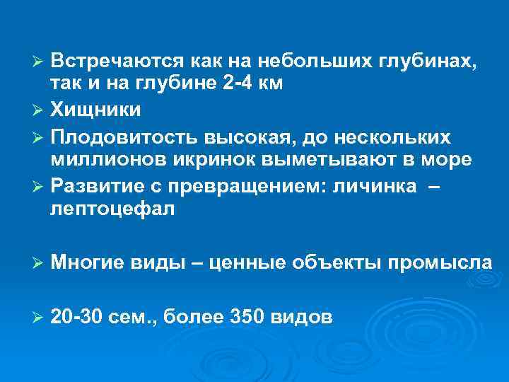 Встречаются как на небольших глубинах, так и на глубине 2 -4 км Ø Хищники