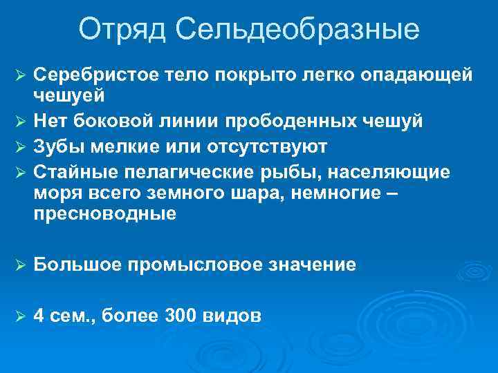 Отряд Сельдеобразные Серебристое тело покрыто легко опадающей чешуей Ø Нет боковой линии прободенных чешуй