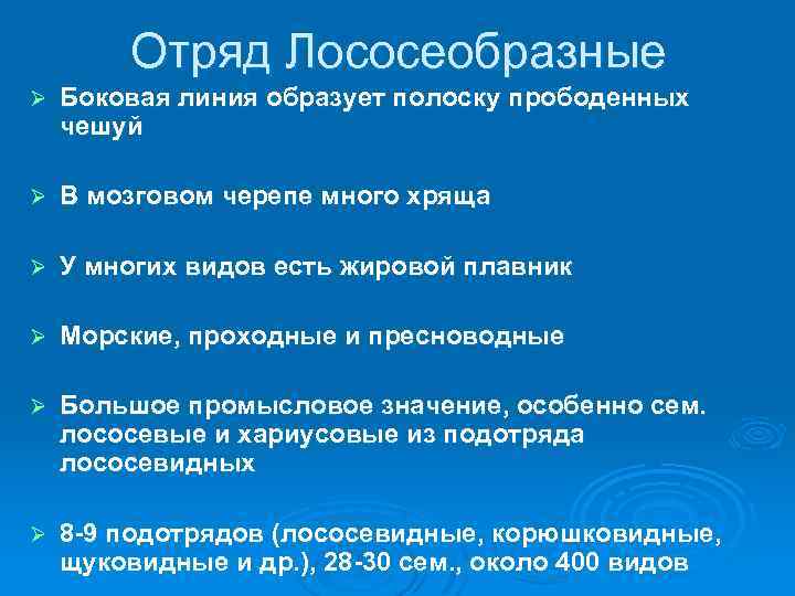Отряд Лососеобразные Ø Боковая линия образует полоску прободенных чешуй Ø В мозговом черепе много