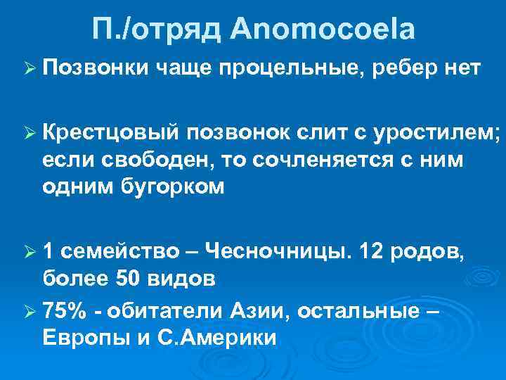 П. /отряд Anomocoela Ø Позвонки чаще процельные, ребер нет Ø Крестцовый позвонок слит с