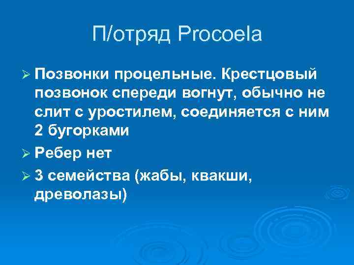 П/отряд Procoela Ø Позвонки процельные. Крестцовый позвонок спереди вогнут, обычно не слит с уростилем,