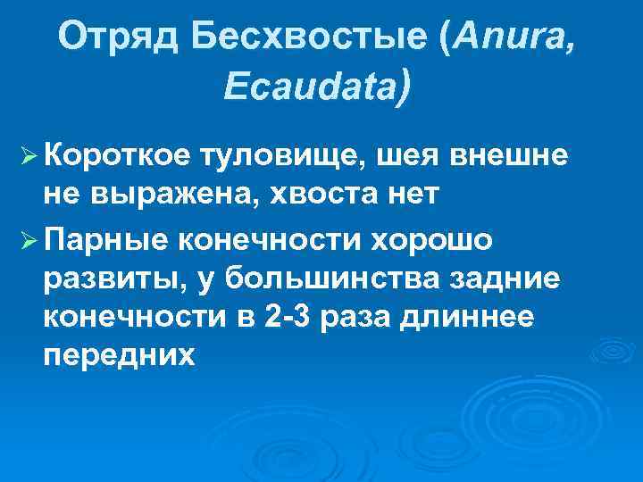 Отряд Бесхвостые (Anura, Ecaudata) Ø Короткое туловище, шея внешне не выражена, хвоста нет Ø