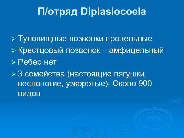 П/отряд Diplasiocoela Ø Туловищные позвонки процельные Ø Крестцовый позвонок – амфицельный Ø Ребер нет