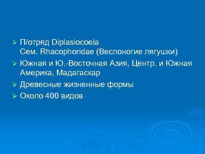 П/отряд Diplasiocoela Сем. Rhacophoridae (Веслоногие лягушки) Ø Южная и Ю. -Восточная Азия, Центр. и