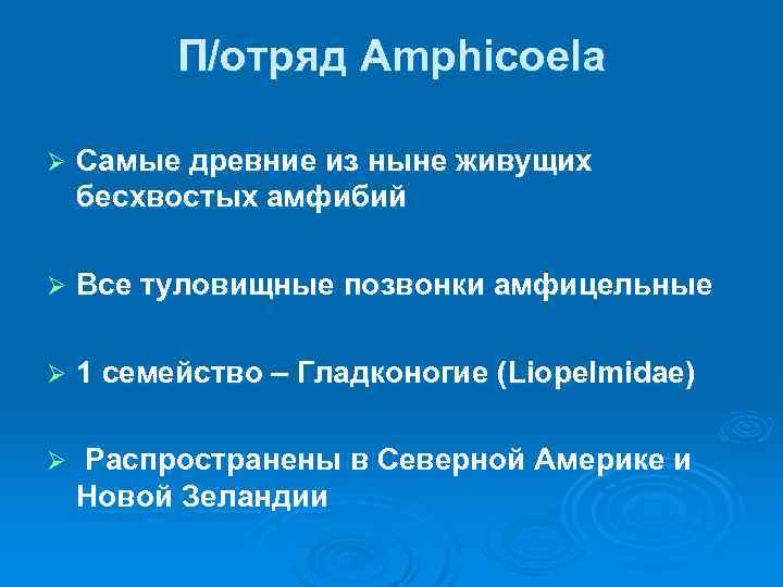 П/отряд Amphicoela Ø Самые древние из ныне живущих бесхвостых амфибий Ø Все туловищные позвонки