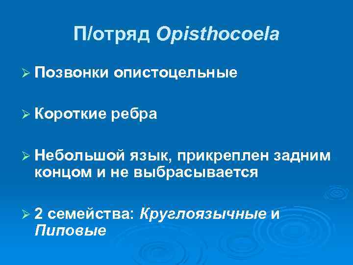 П/отряд Opisthocoela Ø Позвонки опистоцельные Ø Короткие ребра Ø Небольшой язык, прикреплен задним концом