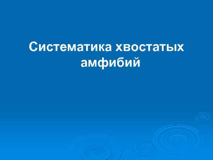 Систематика хвостатых амфибий 