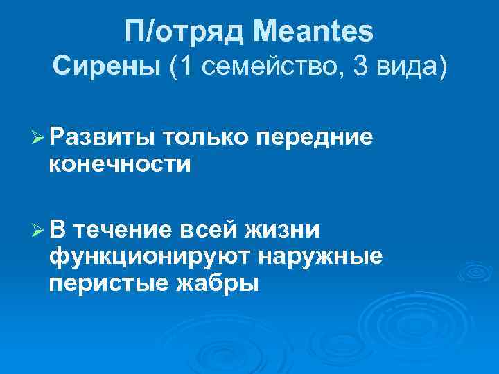 П/отряд Meantes Сирены (1 семейство, 3 вида) Ø Развиты только передние конечности Ø В