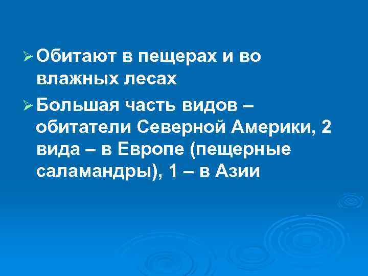 Ø Обитают в пещерах и во влажных лесах Ø Большая часть видов – обитатели