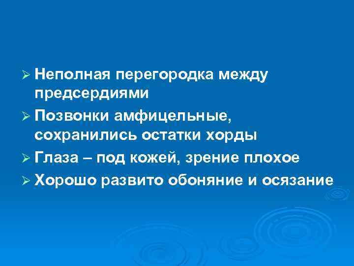 Ø Неполная перегородка между предсердиями Ø Позвонки амфицельные, сохранились остатки хорды Ø Глаза –