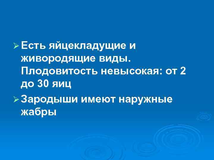 Ø Есть яйцекладущие и живородящие виды. Плодовитость невысокая: от 2 до 30 яиц Ø