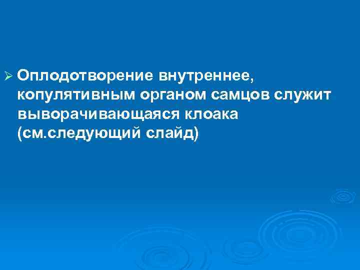 Ø Оплодотворение внутреннее, копулятивным органом самцов служит выворачивающаяся клоака (см. следующий слайд) 