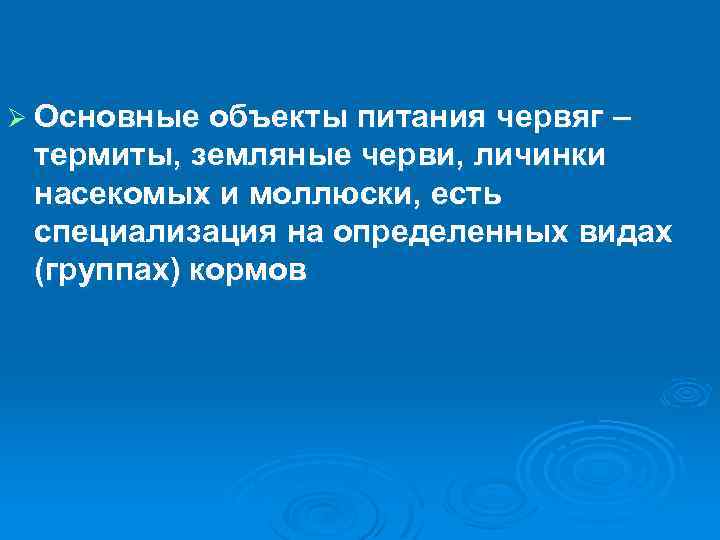 Ø Основные объекты питания червяг – термиты, земляные черви, личинки насекомых и моллюски, есть