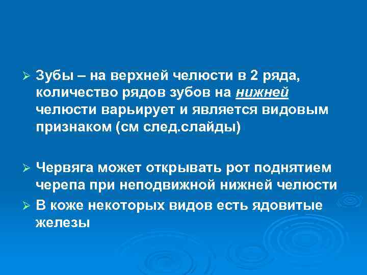 Ø Зубы – на верхней челюсти в 2 ряда, количество рядов зубов на нижней