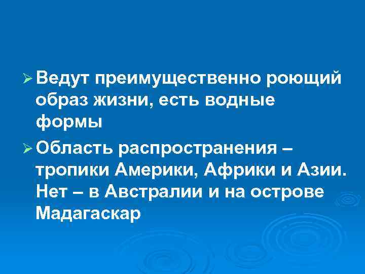 Ø Ведут преимущественно роющий образ жизни, есть водные формы Ø Область распространения – тропики