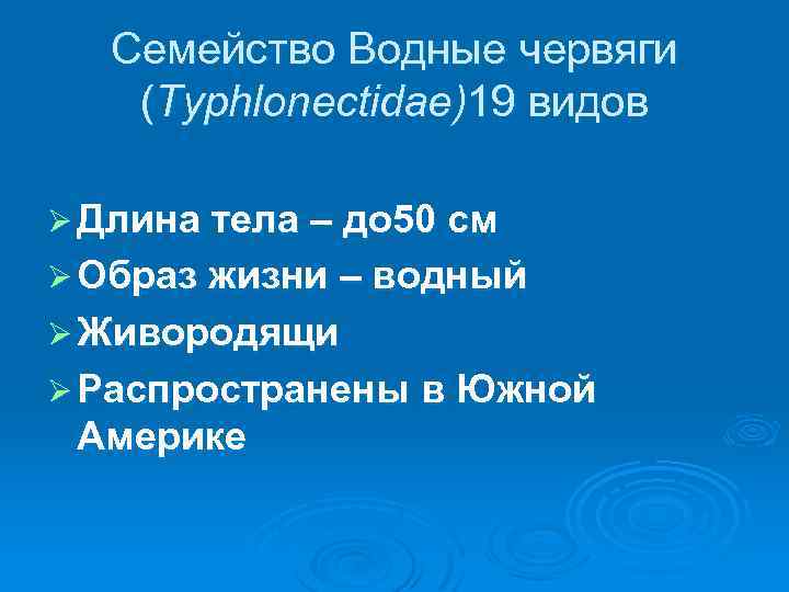Семейство Водные червяги (Typhlonectidae)19 видов Ø Длина тела – до 50 см Ø Образ