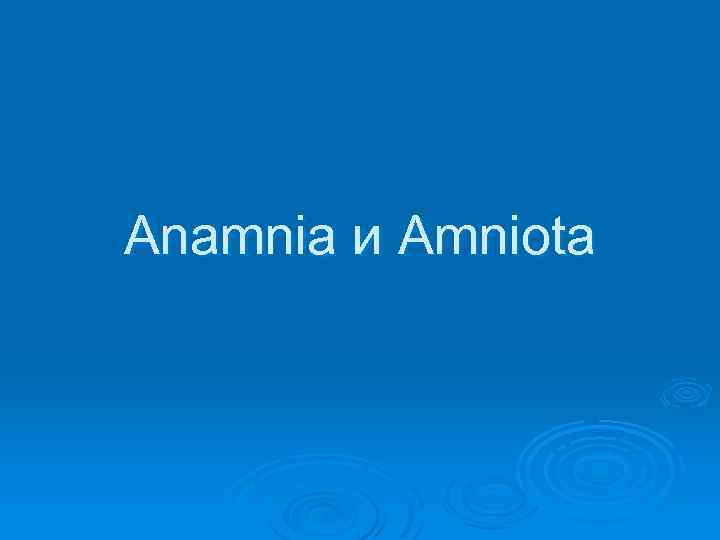 Anamnia и Amniota 