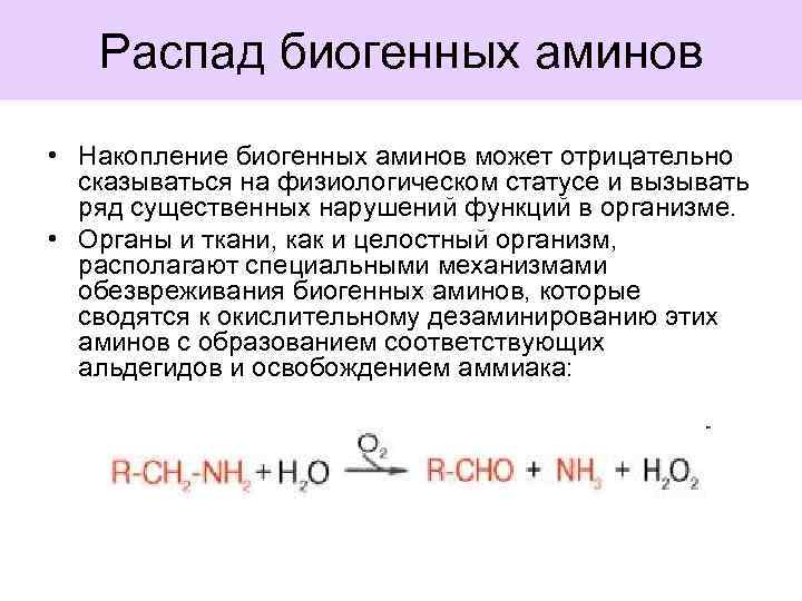 Схема синтеза и биологическая роль биогенных аминов