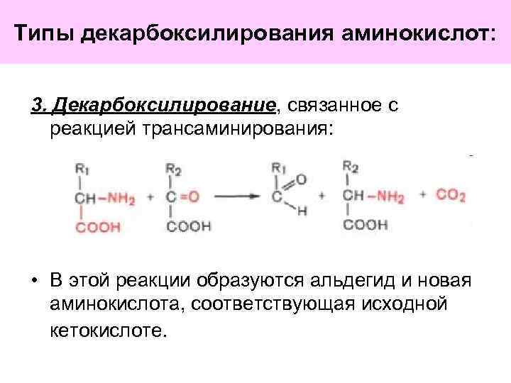Типы декарбоксилирования аминокислот: 3. Декарбоксилирование, связанное с реакцией трансаминирования: • В этой реакции образуются
