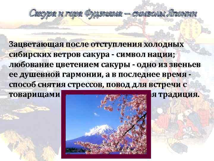 Сакура и гора Фудзияма – символы Японии Зацветающая после отступления холодных сибирских ветров сакура