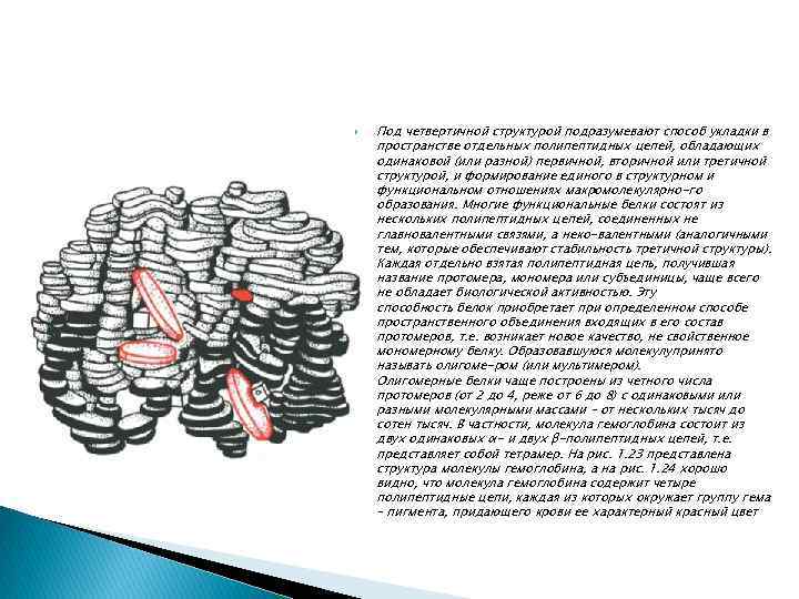  Под четвертичной структурой подразумевают способ укладки в пространстве отдельных полипептидных цепей, обладающих одинаковой