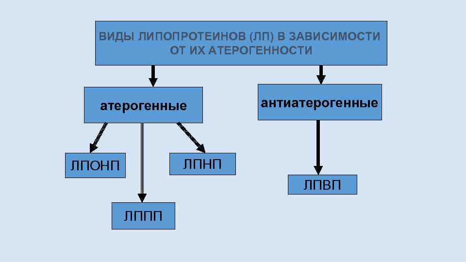 ВИДЫ ЛИПОПРОТЕИНОВ (ЛП) В ЗАВИСИМОСТИ ОТ ИХ АТЕРОГЕННОСТИ атерогенные антиатерогенные ЛПНП ЛПОНП ЛПВП ЛППП