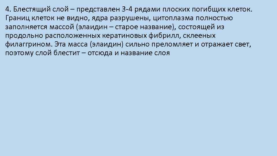 4. Блестящий слой – представлен 3 -4 рядами плоских погибщих клеток. Границ клеток не