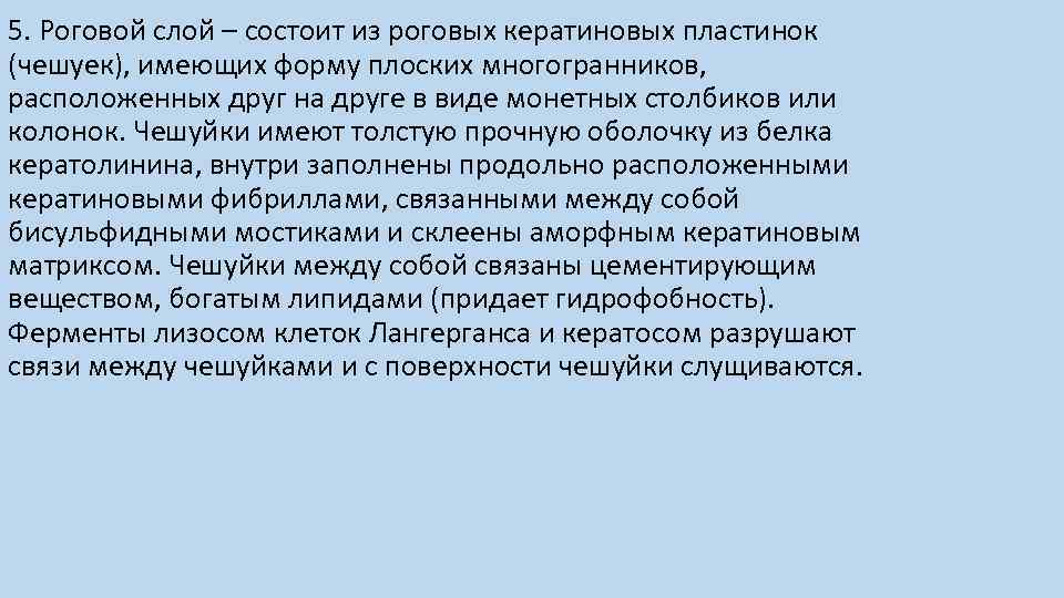 5. Роговой слой – состоит из роговых кератиновых пластинок (чешуек), имеющих форму плоских многогранников,