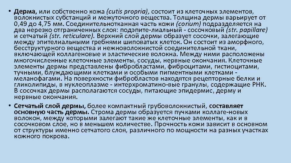  • Дерма, или собственно кожа (cutis propria), состоит из клеточных элементов, волокнистых субстанций