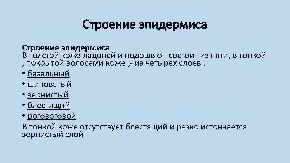 Строение эпидермиса В толстой коже ладоней и подошв он состоит из пяти, в тонкой