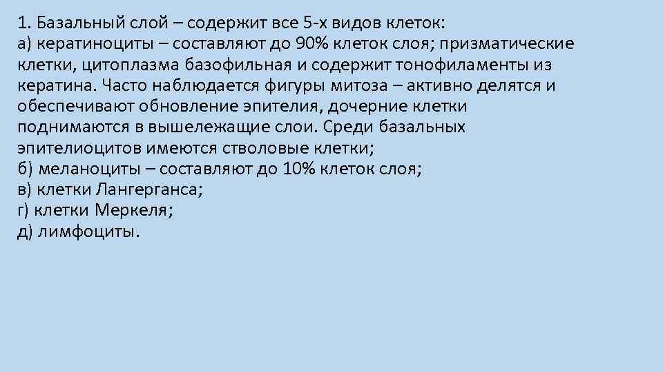 1. Базальный слой – содержит все 5 -х видов клеток: а) кератиноциты – составляют