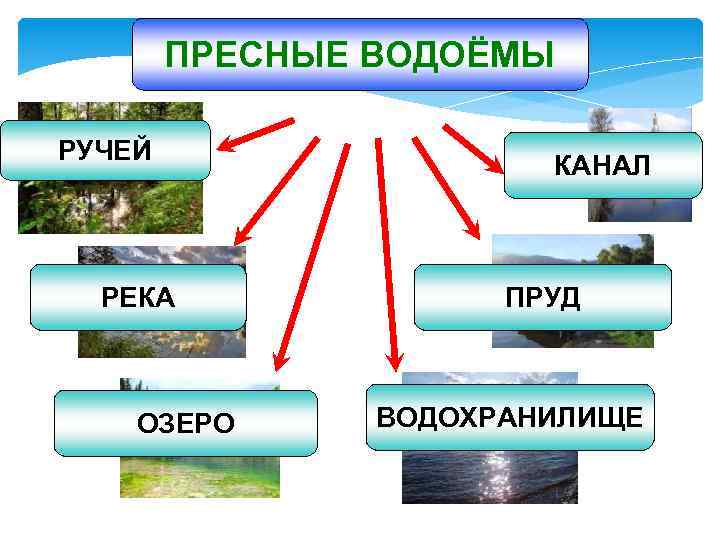 Дополни схему водоемы окружающий мир 2 класс