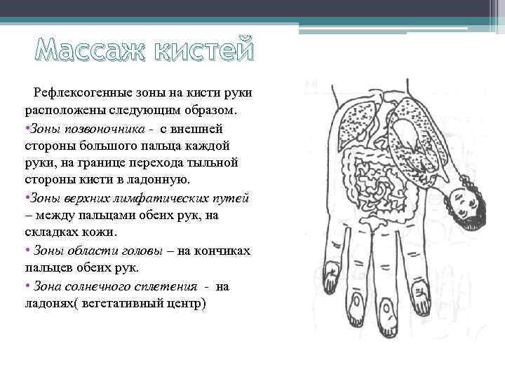 Массаж кистей Рефлексогенные зоны на кисти руки расположены следующим образом. • Зоны позвоночника -
