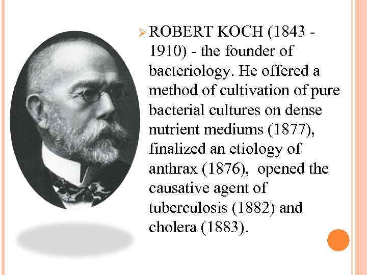 Ø ROBERT KOCH (1843 1910) - the founder of bacteriology. He offered a method