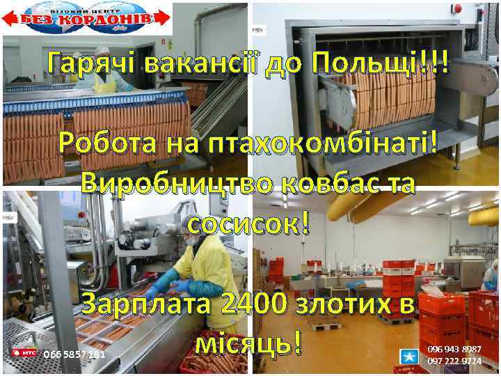 Гарячі вакансії до Польщі!!! Робота на птахокомбінаті! Виробництво ковбас та сосисок! Зарплата 2400 злотих