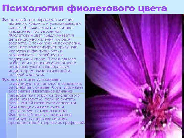 Психология фиолетового цвета Фиолетовый цвет образован слияние активного красного и успокаивающего синего. В психологии