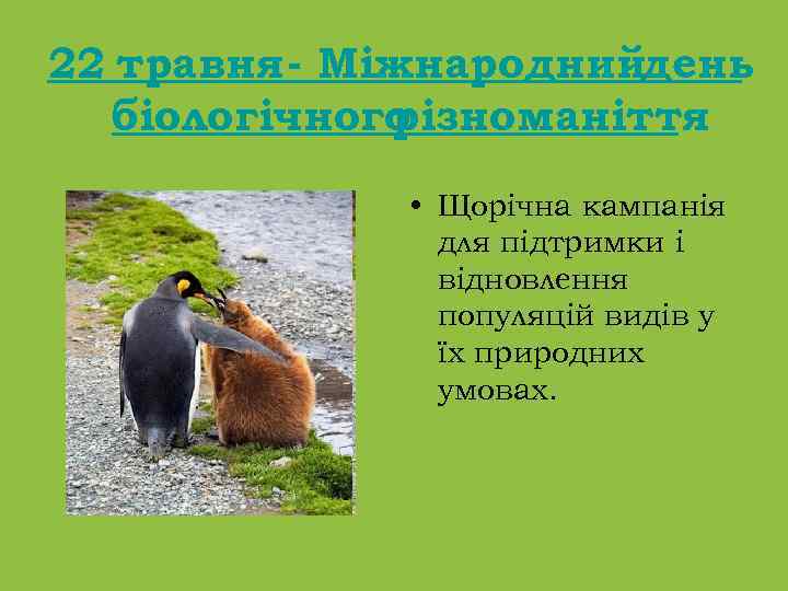 22 травня - Міжнароднийдень біологічного різноманіття • Щорічна кампанія для підтримки і відновлення популяцій
