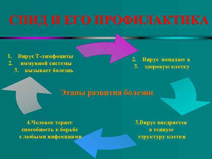 СПИД И ЕГО ПРОФИЛАКТИКА 1. Вирус Т-лимфоциты 2. иммунной системы 3. вызывает болезнь 2.