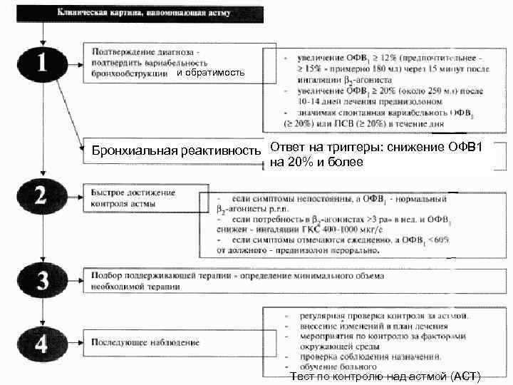 и обратимость Бронхиальная реактивность Ответ на триггеры: снижение ОФВ 1 на 20% и более