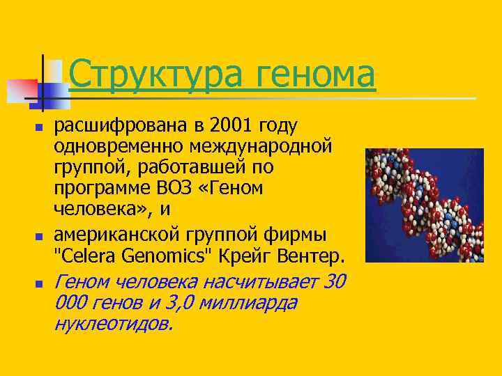 Структура генома n n n расшифрована в 2001 году одновременно международной группой, работавшей по