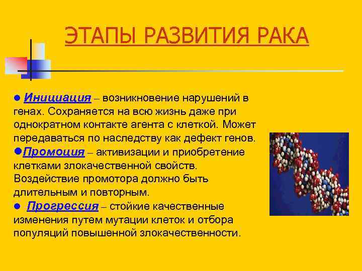 ЭТАПЫ РАЗВИТИЯ РАКА Инициация – возникновение нарушений в генах. Сохраняется на всю жизнь даже