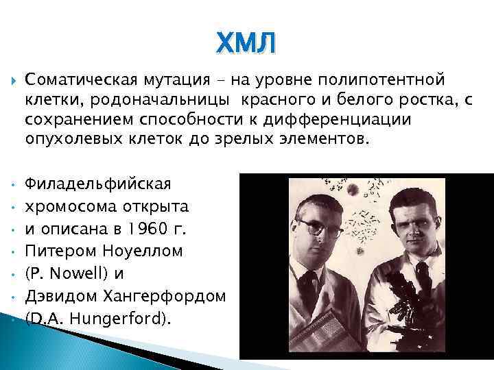 ХМЛ • • Соматическая мутация - на уровне полипотентной клетки, родоначальницы красного и белого