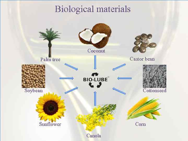 Biological materials Coconut Castor bean Palm tree Soybean Cottonseed Sunflower Corn Canola 