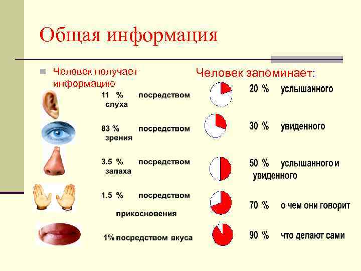 Общая информация