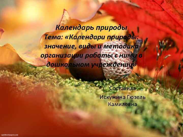 Календарь природы Тема: «Календари природы: значение, виды и методика организации работы с ними в