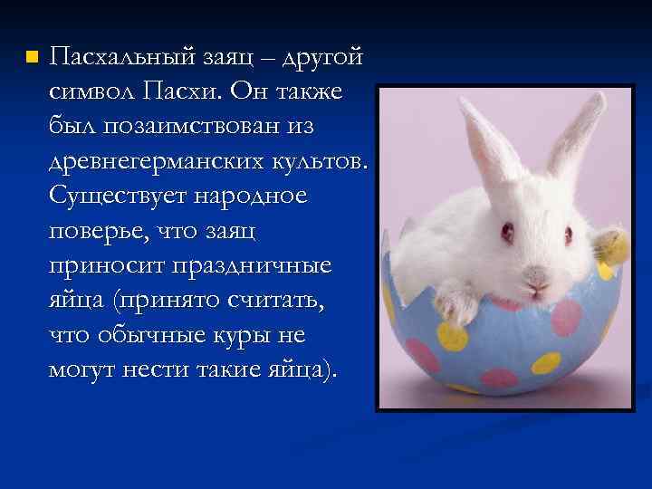 Заяц символ пасхи. Кролик символ Пасхи. Почему сивол Пасхи зая. Почему кролик символ Пасхи.