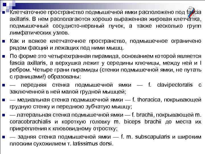 n n n n Клетчаточное пространство подмышечной ямки расположено под fascia axillaris. В нем