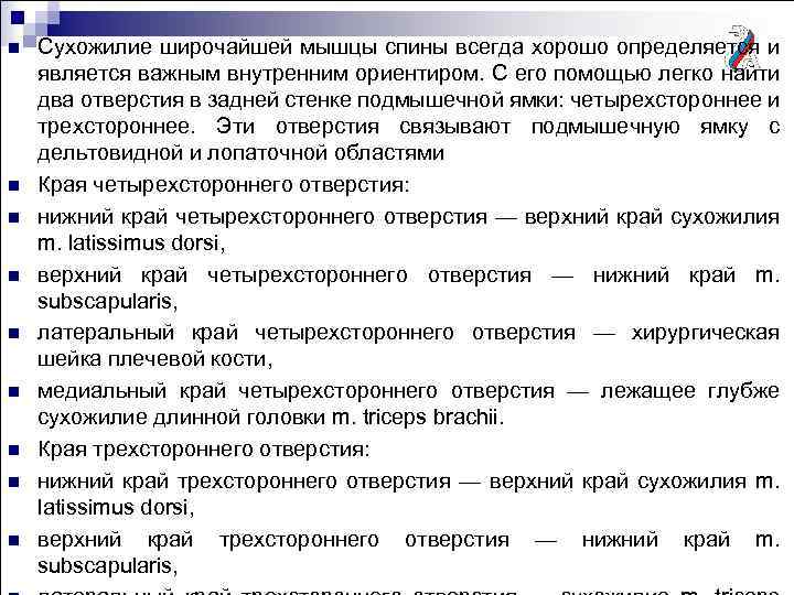 n n n n n Сухожилие широчайшей мышцы спины всегда хорошо определяется и является