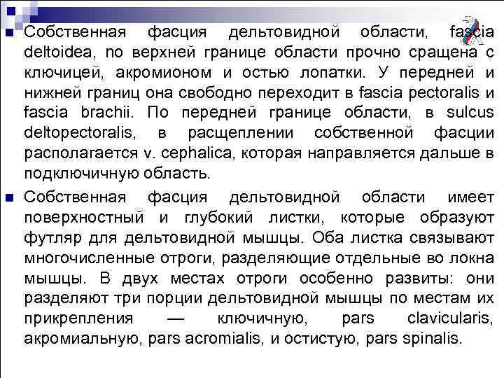 n n Собственная фасция дельтовидной области, fascia deltoidea, no верхней границе области прочно сращена